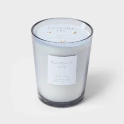 Colored Vase Glass With Dustcover Rainwater Lily Candle Gray - Threshold™ 13 Colored Vase Glass With Dustcover Rainwater Lily Candle Gray - Threshold™ -Threshold GUEST 1a738ead 7e7a 4f46 b4ff 79439b3488d0