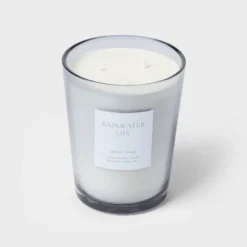 Colored Vase Glass With Dustcover Rainwater Lily Candle Gray - Threshold™ 11 Colored Vase Glass With Dustcover Rainwater Lily Candle Gray - Threshold™ -Threshold GUEST 4dd3a894 6c80 4248 a2de 93743bf8dee9