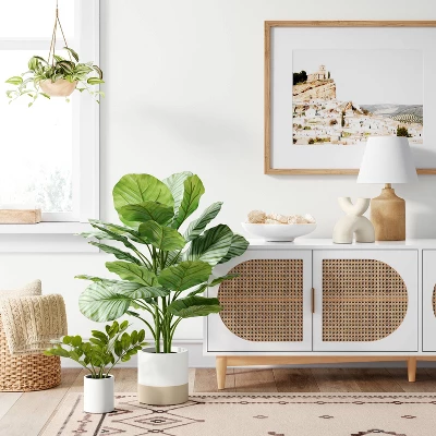 Large Variegated Plant - Threshold™ 3 Large Variegated Plant - Threshold™