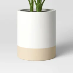 Large Variegated Plant - Threshold™ 7 Large Variegated Plant - Threshold™ -Threshold GUEST 7d5c4722 8e80 4f51 9089 0f72358617e5