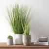 25" X 15" Artificial Onion Grass Arrangement In Ceramic Pot - Threshold™ -Threshold GUEST 9780783e 14a4 48cf 8351 1567c24a520e