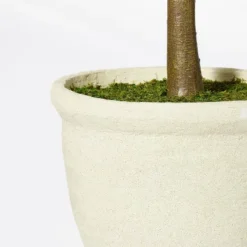 Ficus Tree - Threshold™ Designed With Studio McGee -Threshold GUEST b527c49c 40e7 4f4d 8026 e60817b7e327