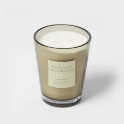 Colored Vase Glass With Dustcover Watermint And Eucalyptus Candle Green - Threshold™ 11 Colored Vase Glass With Dustcover Watermint And Eucalyptus Candle Green - Threshold™ -Threshold GUEST c7ced8f8 1486 4167 bf53 4e77271a3df4