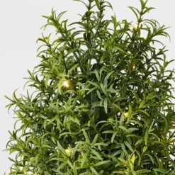 Rosemary Pre-Lit Christmas Arrangement - Threshold™ Designed With Studio McGee 7 Rosemary Pre-Lit Christmas Arrangement - Threshold™ Designed With Studio McGee -Threshold GUEST d61496a2 bfd3 47bf 9a0b 983148caec20