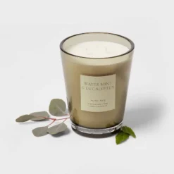 Colored Vase Glass With Dustcover Watermint And Eucalyptus Candle Green - Threshold™ 10 Colored Vase Glass With Dustcover Watermint And Eucalyptus Candle Green - Threshold™ -Threshold GUEST e5144fde ec25 4103 bb0f 2b77c5bb8627