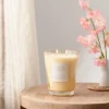 Colored Vase Glass With Dustcover Cashmere Vanilla Candle Ivory - Threshold™ 2 Colored Vase Glass With Dustcover Cashmere Vanilla Candle Ivory - Threshold™ -Threshold GUEST f8ee8b81 de32 4f08 8cd9 2498bb8e48ef